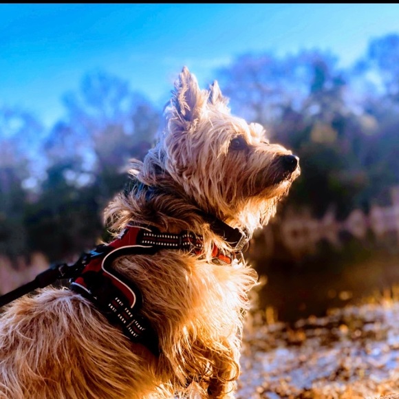 A little about me. - Picture 10 of 16